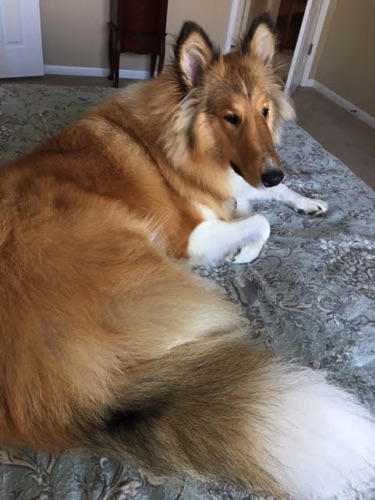 Waffles as teen.jpg Waffles as teen.jpg